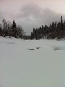 Река Куя (устье) зимой